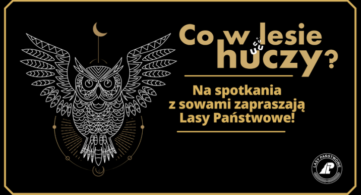 Co w lesie huczy? Infografika promująca wydarzenie/ źródło: Centrum Komunikacji Społecznej Lasów Państwowych